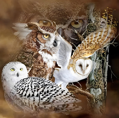 Various Owls 5D DIY Diamond Painting Kits