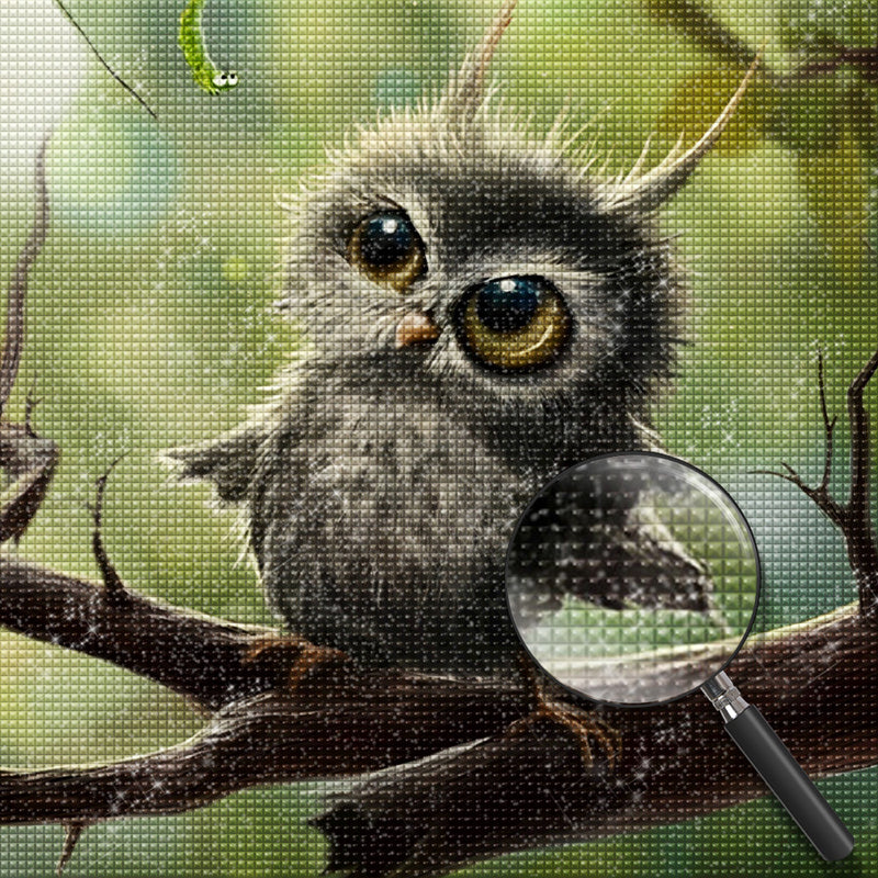 Cute Little Angry Owl Diamond Painting