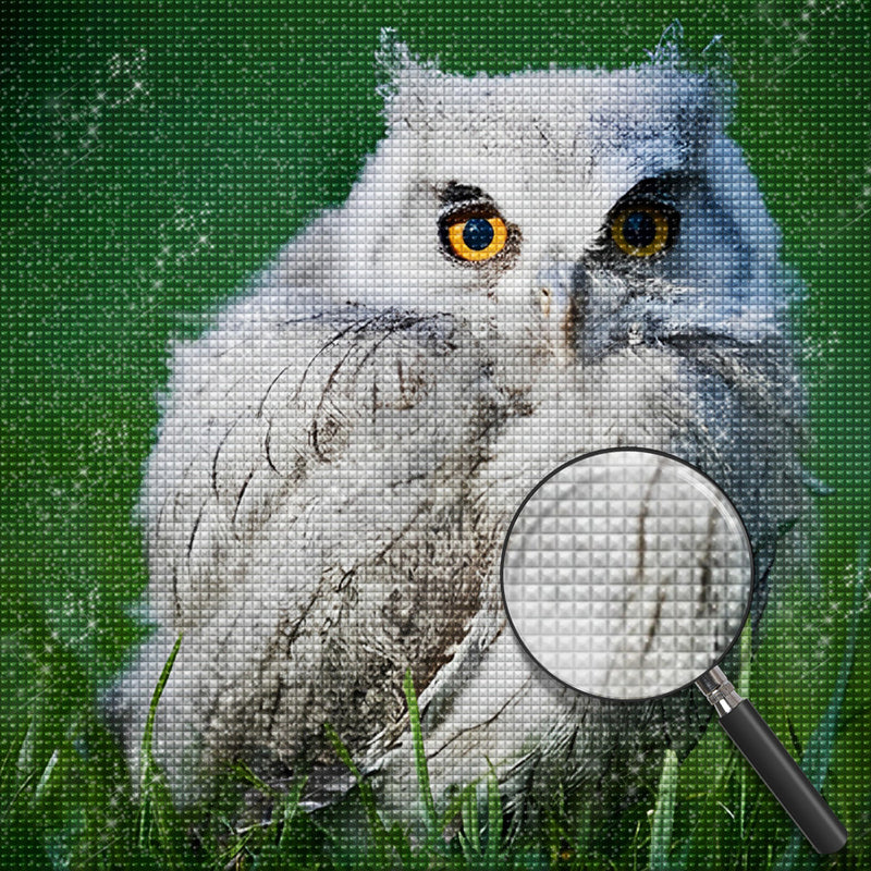 Owl 5D DIY Diamond Painting Kits DPOWLSQR131