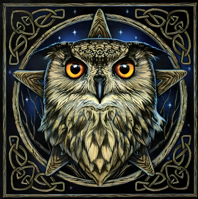 Owl 5D DIY Diamond Painting Kits DPOWLSQR132