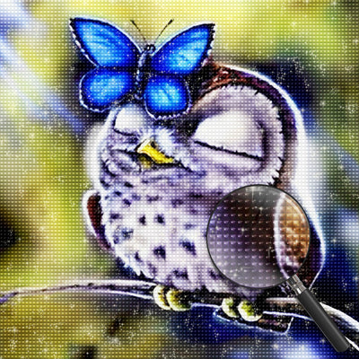 Owl 5D DIY Diamond Painting Kits DPOWLSQR134