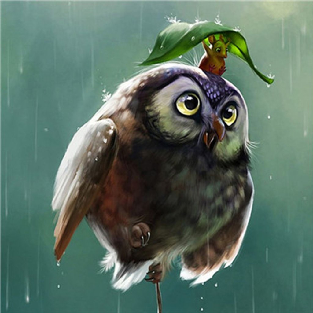 Owl and Squirrel Shelter from the Rain Diamond Painting