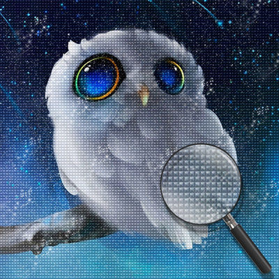 White Owl with Blue Eyes 5D DIY Diamond Painting Kits
