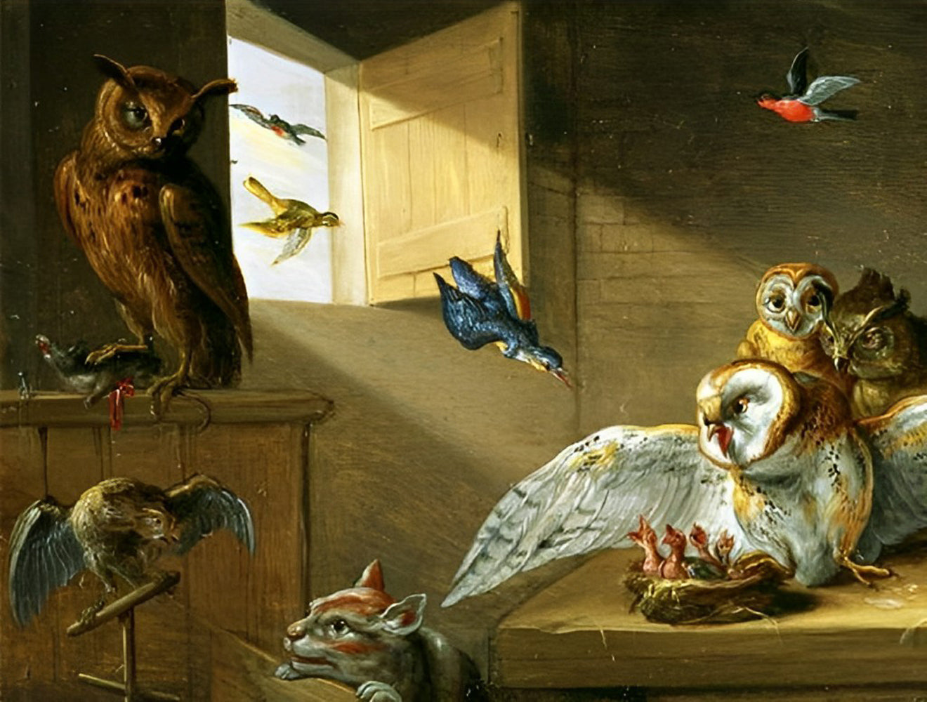 Owls, Birds and Cat Diamond Painting