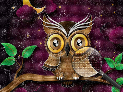 Owl 5D DIY Diamond Painting Kits DPOWLW114
