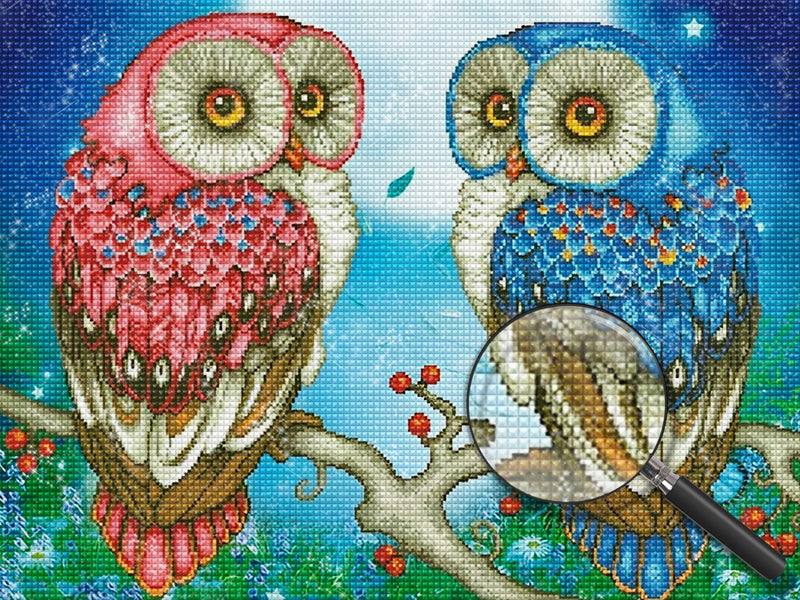 Owl 5D DIY Diamond Painting Kits DPOWLW116