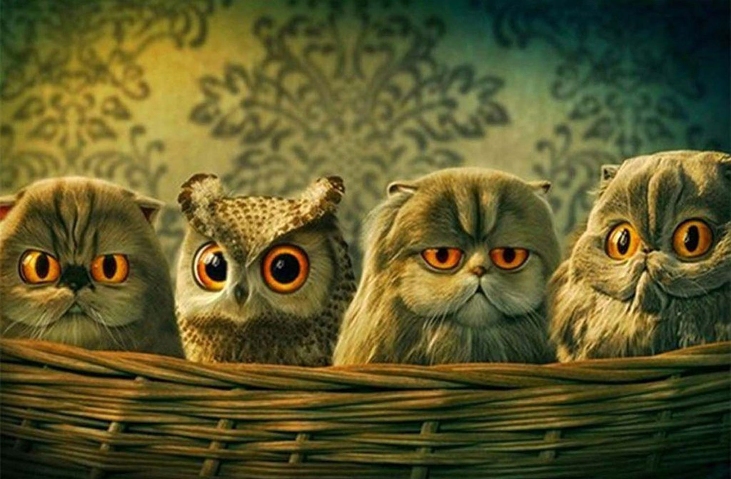Owl and Kittens Diamond Painting
