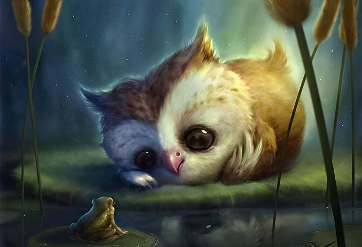 Cute Owl with White Face Diamond Painting
