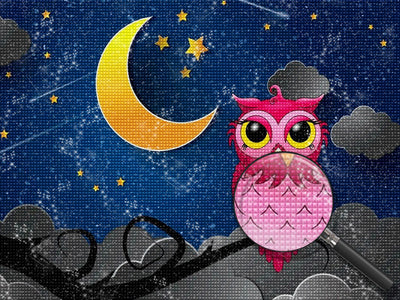 Pink Owl and the Moon in the Starry Night 5D DIY Diamond Painting Kits