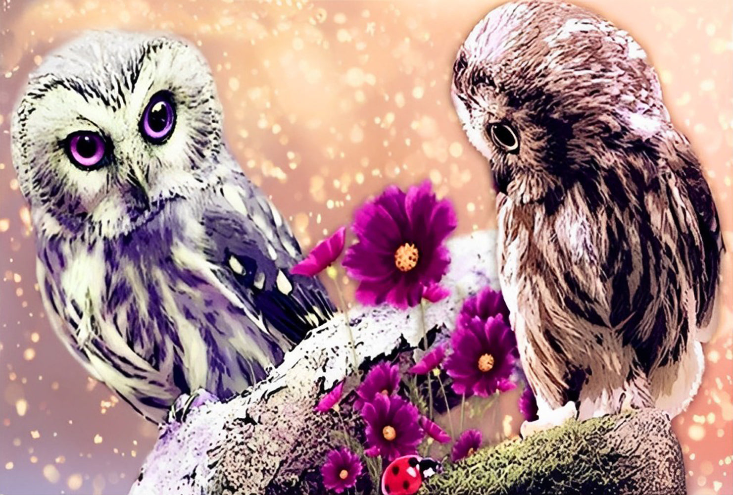 Dark Pink Owls and Daisies Diamond Painting
