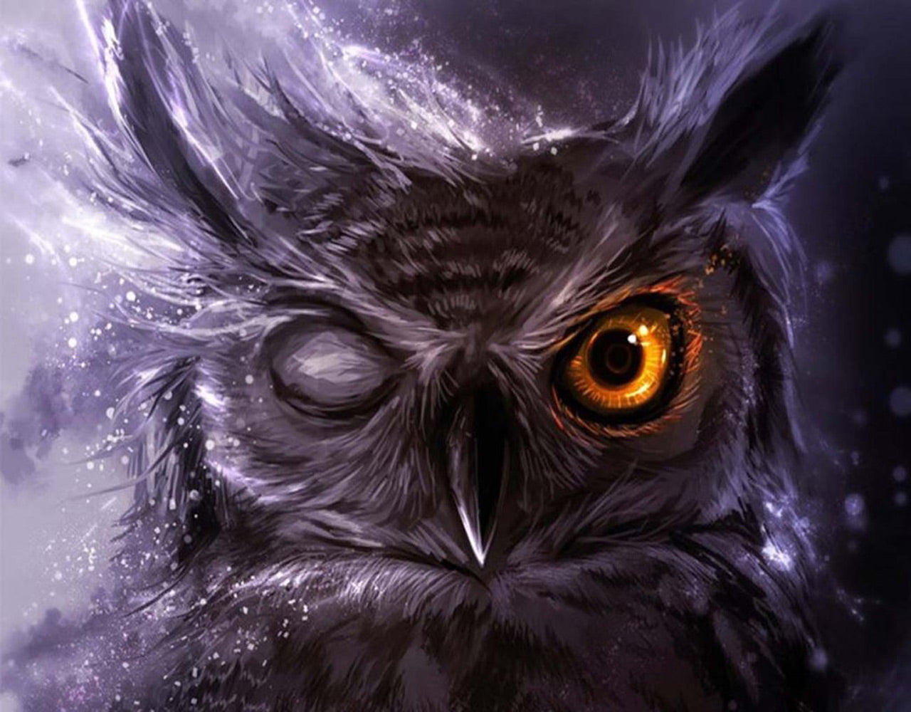 One-Eyed Owl Diamond Painting