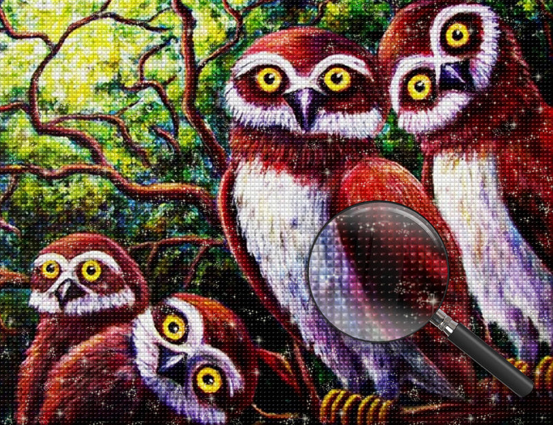 Four Red Owls 5D DIY Diamond Painting Kits