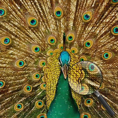 Peacock 5D DIY Diamond Painting Kits DPPEASQR1