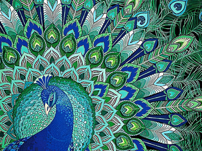 Peacock 5D DIY Diamond Painting Kits DPPEAW1