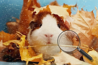 Guinea pig Diamond Painting