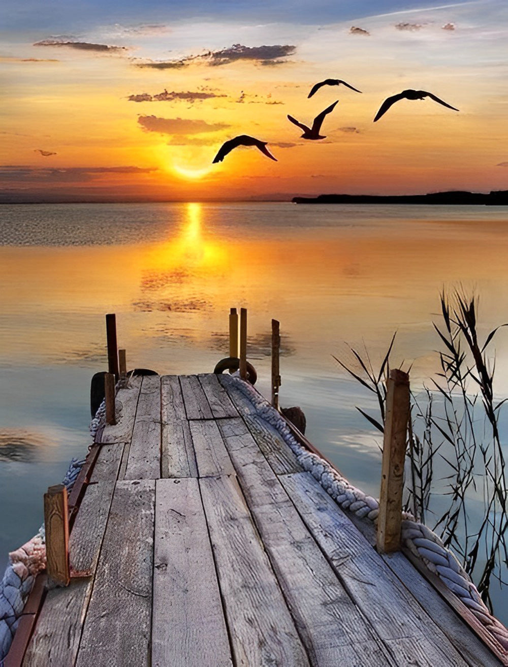 The Quay and the Seagulls Diamond Painting