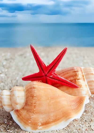 Red Starfish and Conch 5D DIY Diamond Painting Kits
