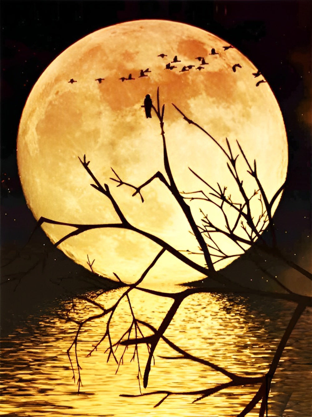 Moon and Dead Tree with Birds Diamond Painting
