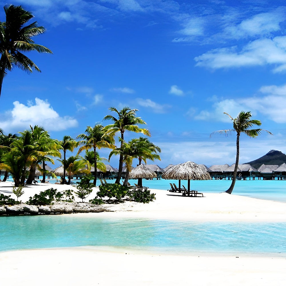 Coconut Trees and Sea Diamond Painting