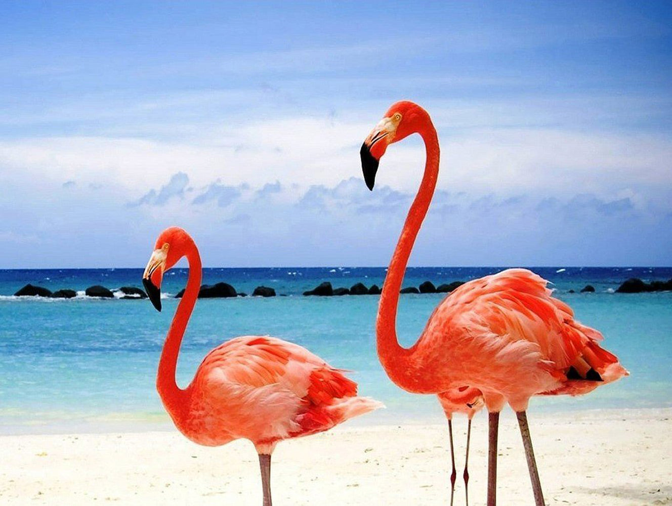 Flamingos by the Sea Diamond Painting