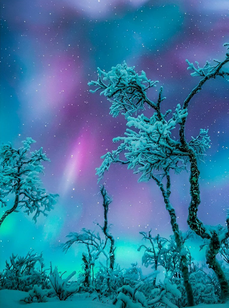 Starry Sky and Snowy Trees 5D DIY Diamond Painting Kits