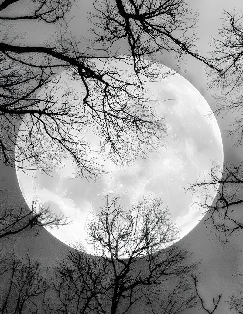 Sky with Moon Diamond Painting