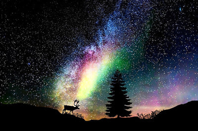 Starry Sky and Deer 5D DIY Diamond Painting Kits