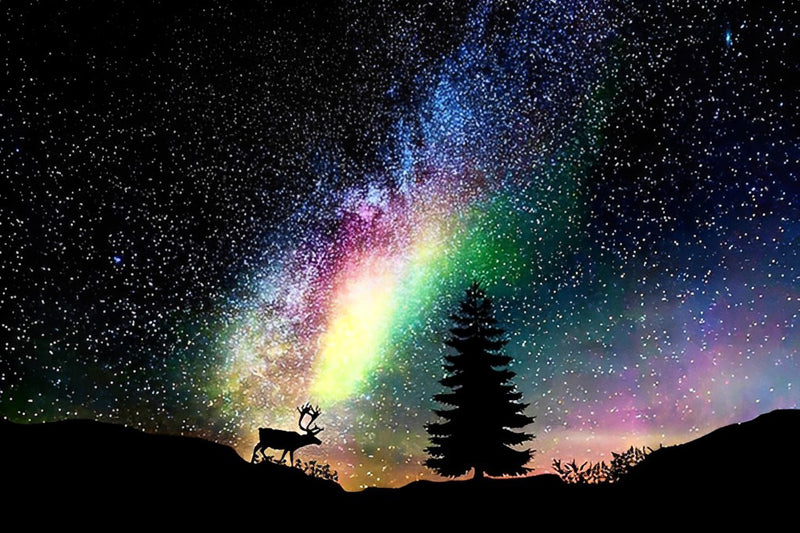 Starry Sky and Deer Diamond Painting