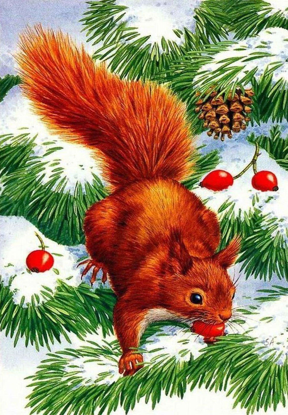 Red Squirrel in the Pine Diamond Painting
