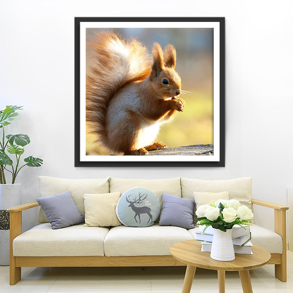Squirrel and Nuts Diamond Painting