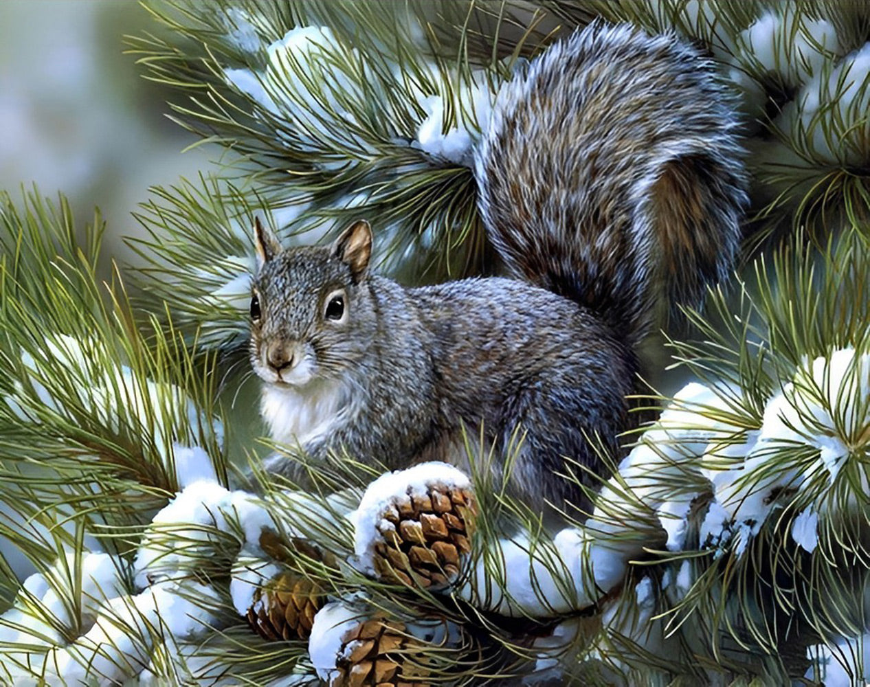 Squirrel and Pine Cones Diamond Painting