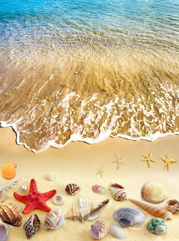 Starfish and Shells on the Beach Diamond Painting