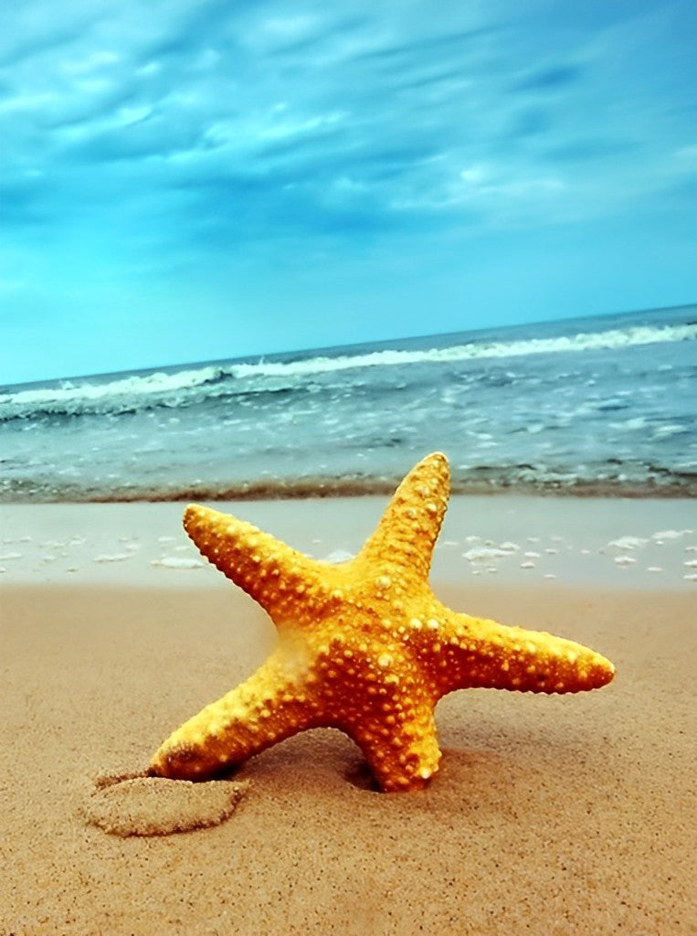 Orange Starfish on the Beach Diamond Painting
