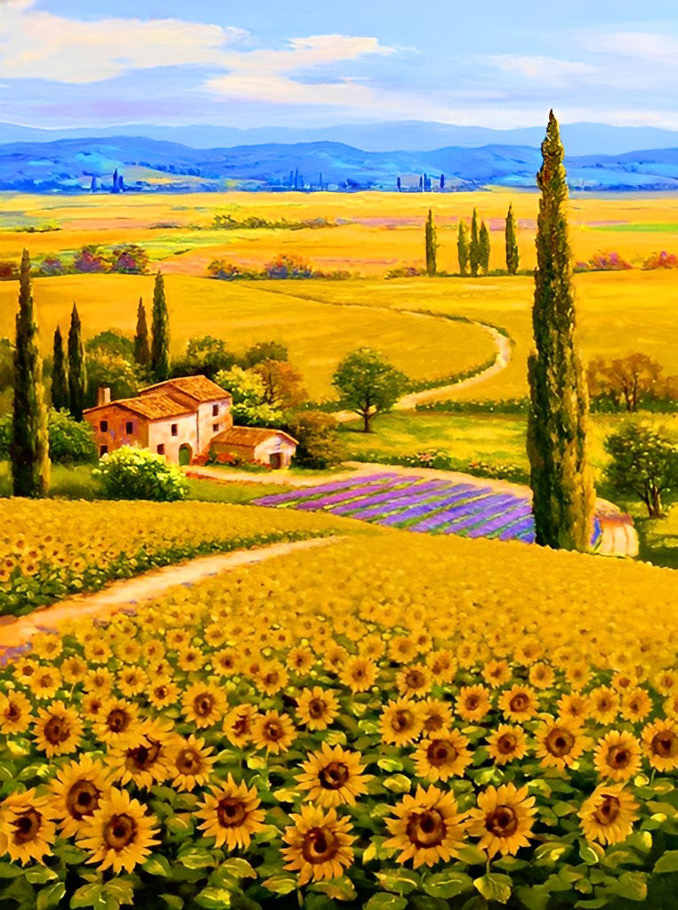 Sunflower Fields Diamond Painting
