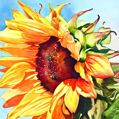 Beautiful Drawn Sunflower 5D DIY Diamond Painting Kits