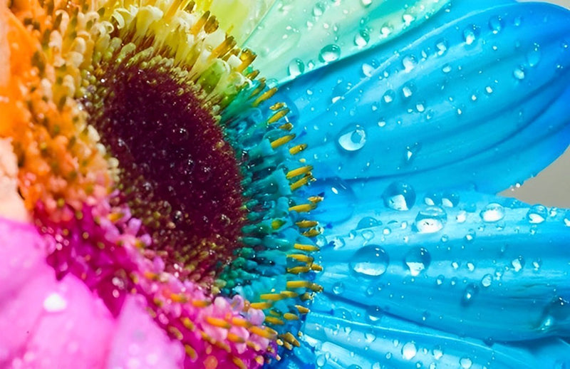 Multicolored Sunflowers 5D DIY Diamond Painting Kits
