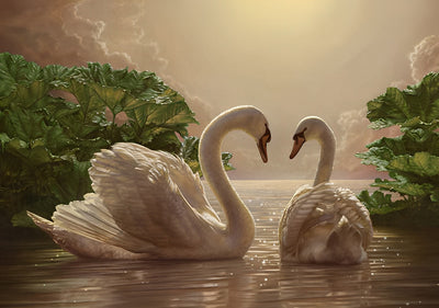 Swans in the Lake 5D DIY Diamond Painting Kits