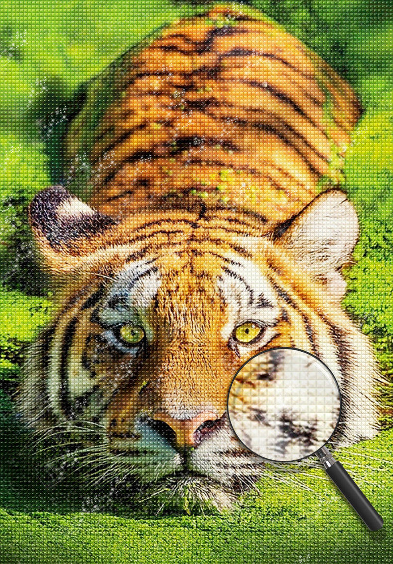 Tiger Lying on the Lawn 5D DIY Diamond Painting Kits