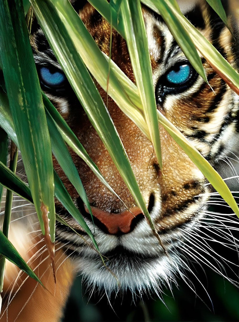 Blue-Eyed Tiger and Bamboo Leaves Diamond Painting