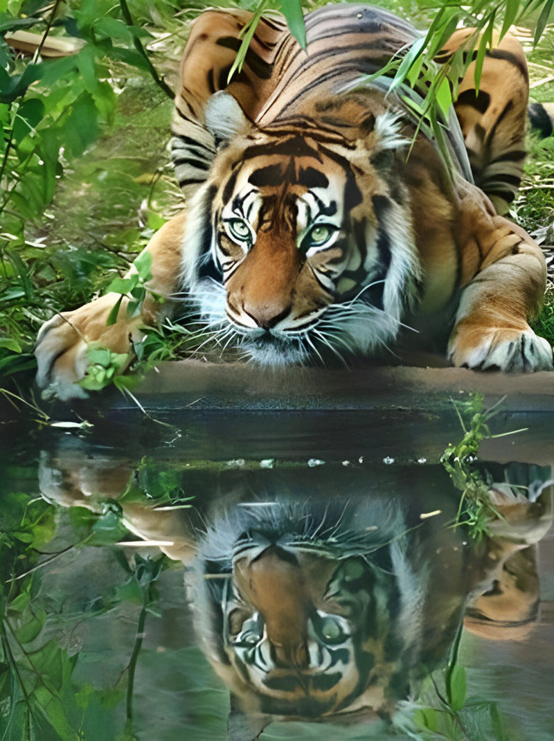 Tiger Drinking Diamond Painting