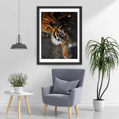 Tiger in the Darkness Diamond Painting