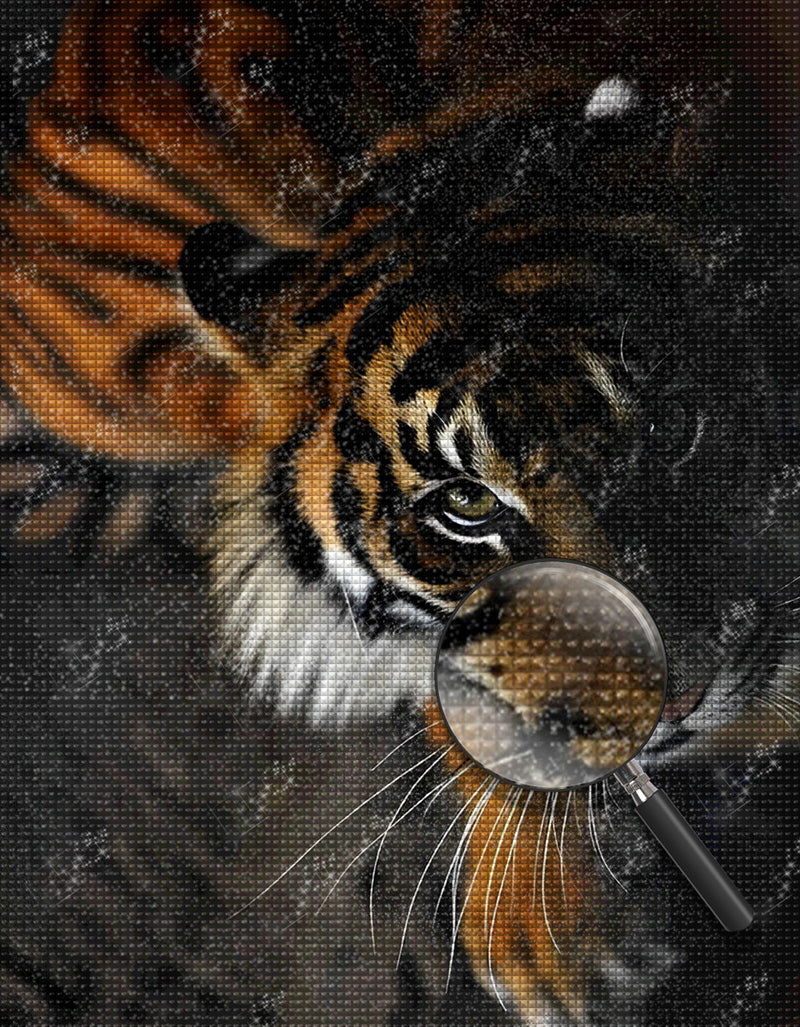 Tiger in the Darkness Diamond Painting