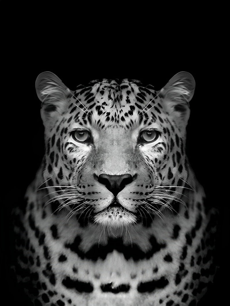 Leopard Diamond Painting