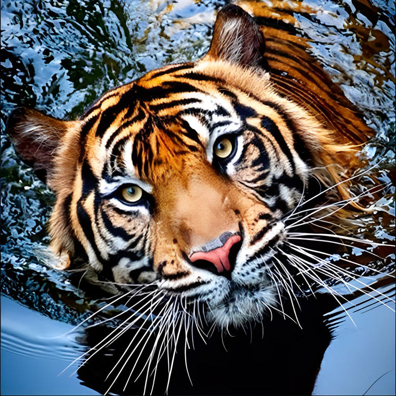 Tiger Raising His Head and Looking Up 5D DIY Diamond Painting Kits