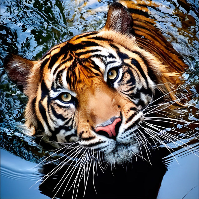 Tiger Raising His Head and Looking Up Diamond Painting