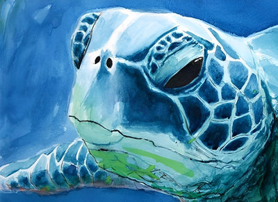 Tortoise 5D DIY Diamond- Painting Kits DPTORW16