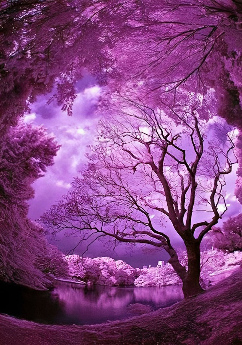 Tree in the Purple Diamond Painting