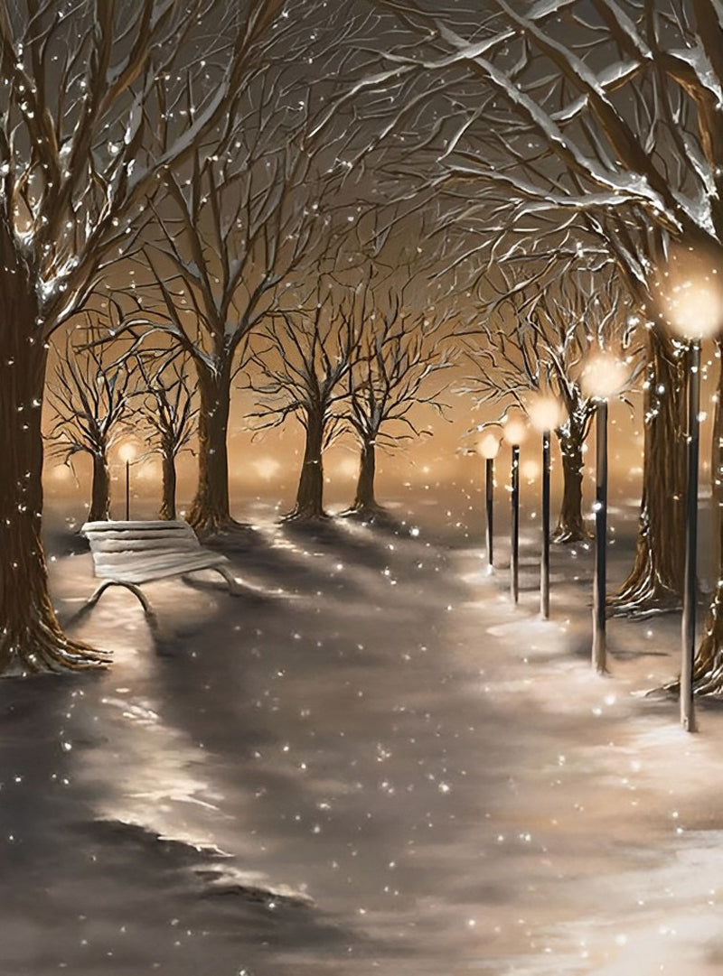 Street View in the Snow Diamond Painting