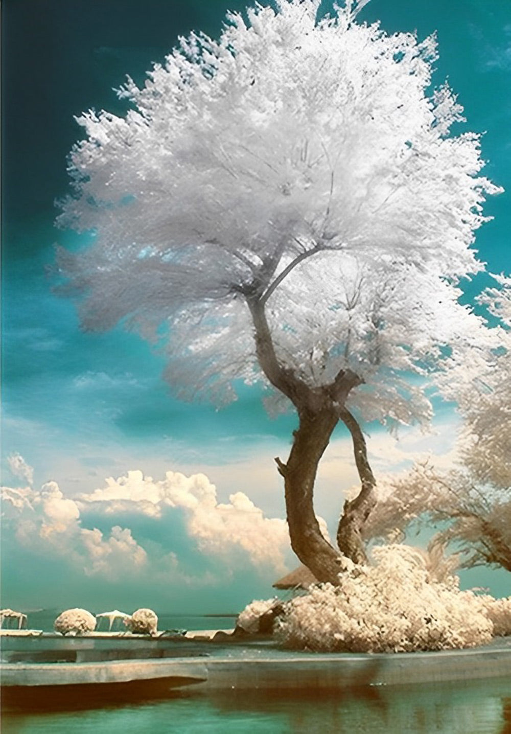 Large White Tree Diamond Painting