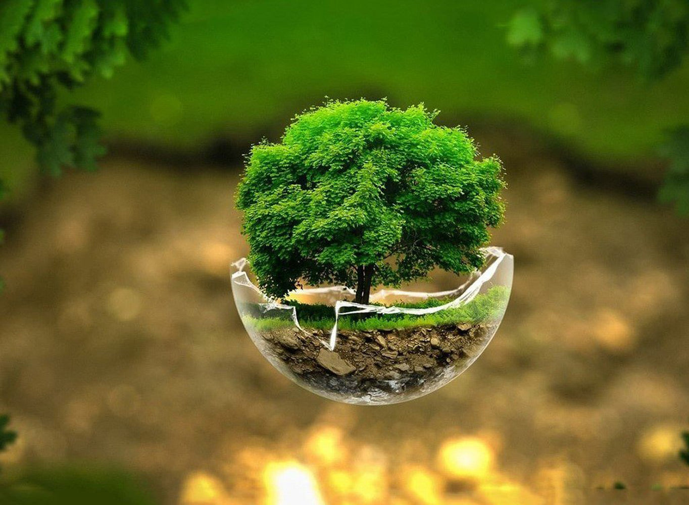 Small Bonsai Diamond Painting